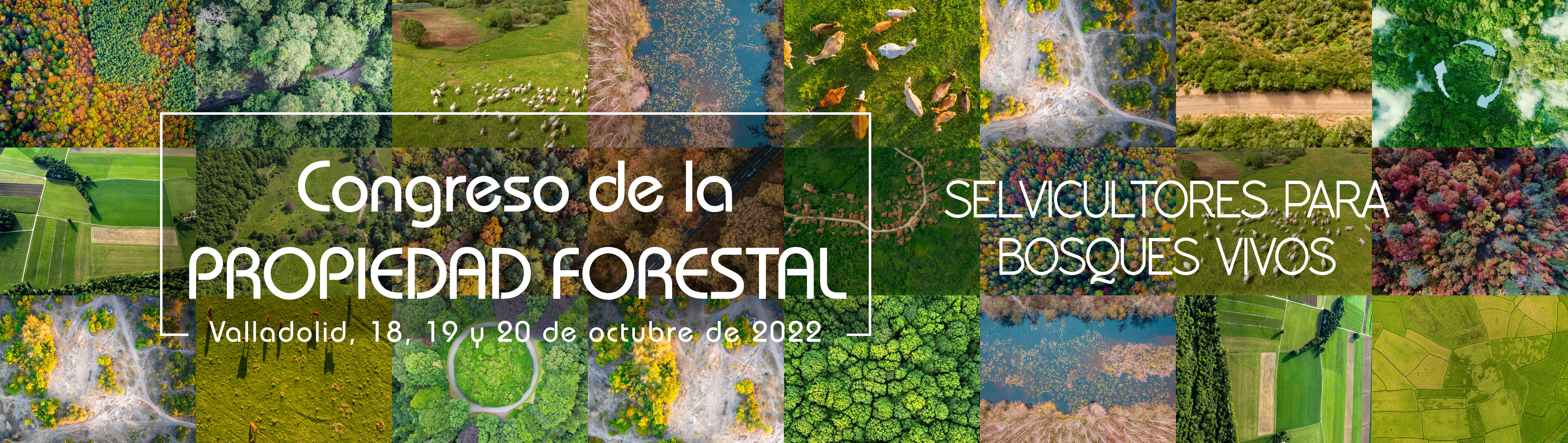 Congreso de la Propiedad Forestal 2022