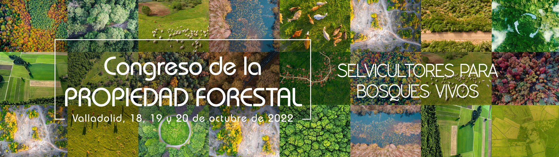 Congreso de la Propiedad Forestal 2022